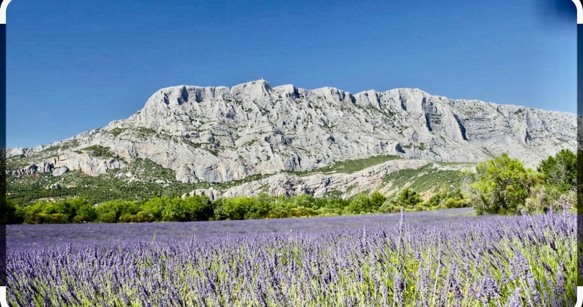 Joli Studio Le Clos D'Aix Avec Grande Terrasse Piscine Et Parking Gratuit Екс ан Прованс Екстериор снимка